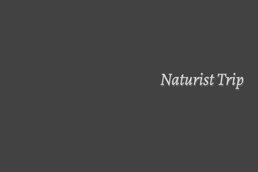 Join a naturist trip