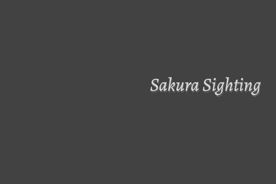 Sakura Sighting